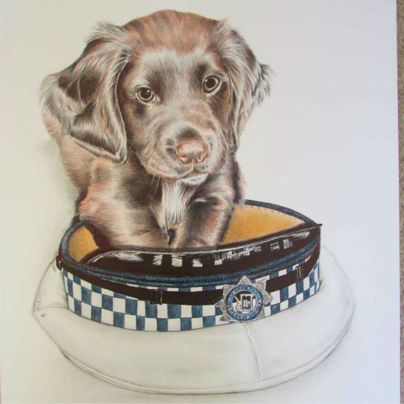 Police Puppy Ted